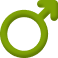 male